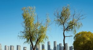 Micro-Adventures for Better Focus: Easy Ways to Fight Off a Heavy Semester