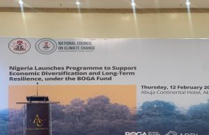 Nigerian gov’t launches BOGA Fund Programme to drive economic diversification beyond oil