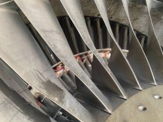 Again, bird strike disrupts United Nigeria Airlines’ flight operations