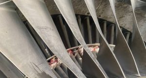 Again, bird strike disrupts United Nigeria Airlines’ flight operations