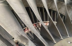 Again, bird strike disrupts United Nigeria Airlines’ flight operations