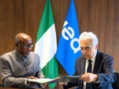 Nigeria, IEA seal pact on methane reduction, clean cooking expansion
