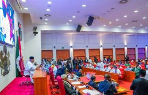 Snake bite: Senate calls for mandatory antivenom in hospitals