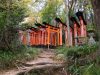 How to Do the Fushimi Inari Back Way Hike in Kyoto