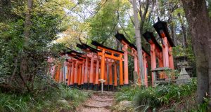 How to Do the Fushimi Inari Back Way Hike in Kyoto